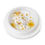 Clavier Ozdoby do paznokci i hybryd, płatki kwiatów – 14