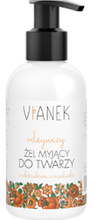 Vianek Odżywczy żel myjący do twarzy 150ml