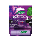 Herbapol Aksamitne Usta Pomadka regenerująca do ust - Czarna porzeczka 4,9g