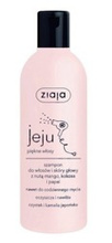 Ziaja Jeju Róż Szampon do włosów/skóry głowy 300ml