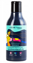 Gift Of Nature Normalizujący szampon do włosów przetłuszczających się 300ml