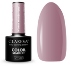 CLARESA lakier hybrydowy Winter Wonderland 2 5g