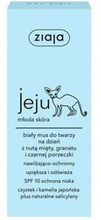 Ziaja Jeju Młoda skóra Biały mus do twarzy na dzień 50ml
