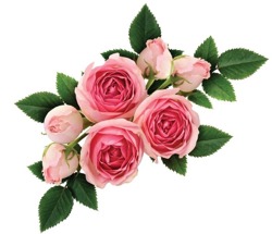 E-naturalne hydrolat woda kwiatowa z kwiatów róży damasceńskiej ecocert 100g